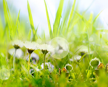 Zertifizierung der Gebäudenach- haltigkeit
